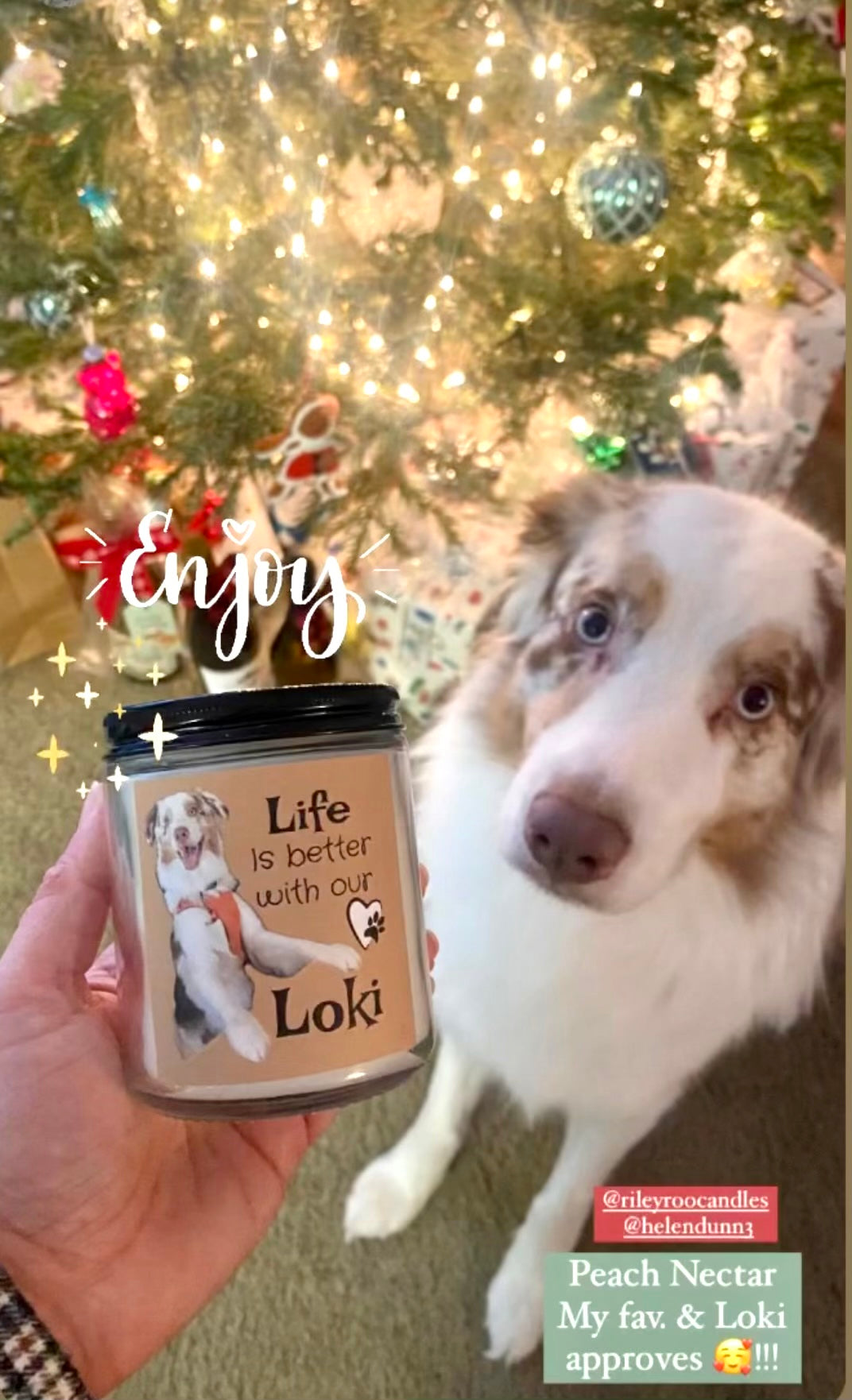 Pet themed soy candles - hand poured