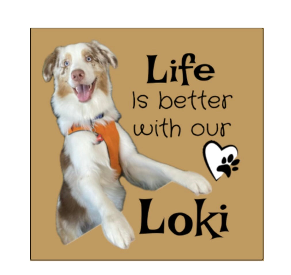 Pet themed soy candles - hand poured