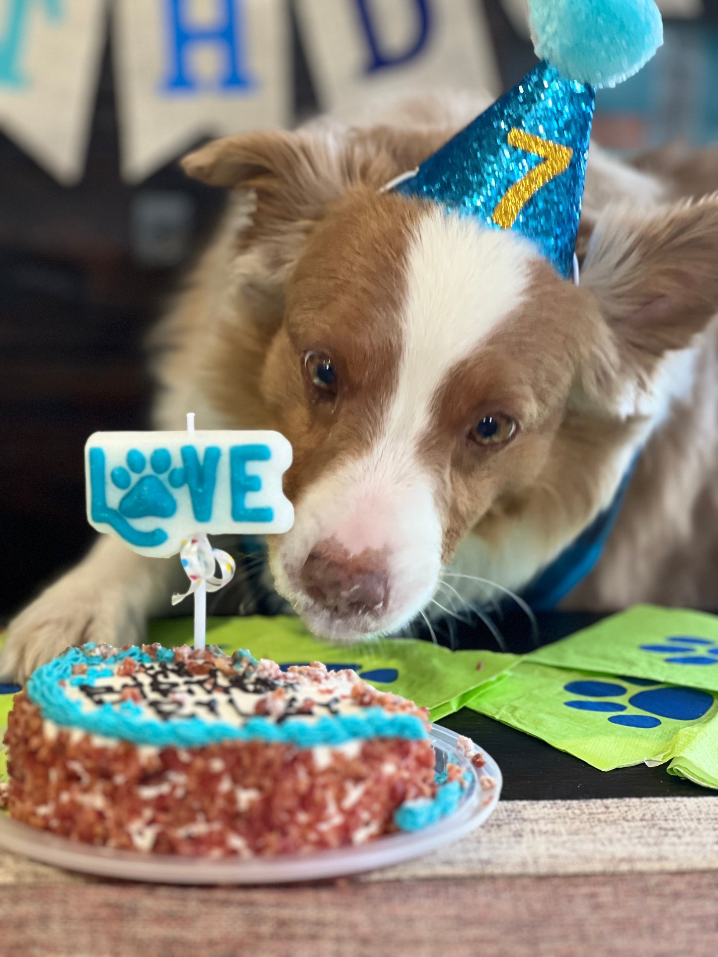 Dog Birthday cake candle - Pet Themed Candle