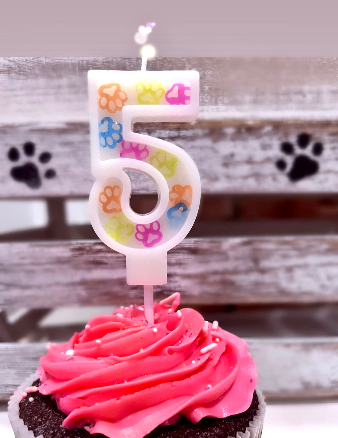 Dog birthday confetti candle number 5 - Pet Themed Candles