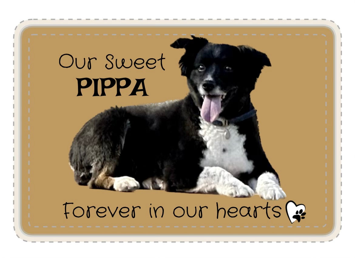 Pet themed soy candles - hand poured