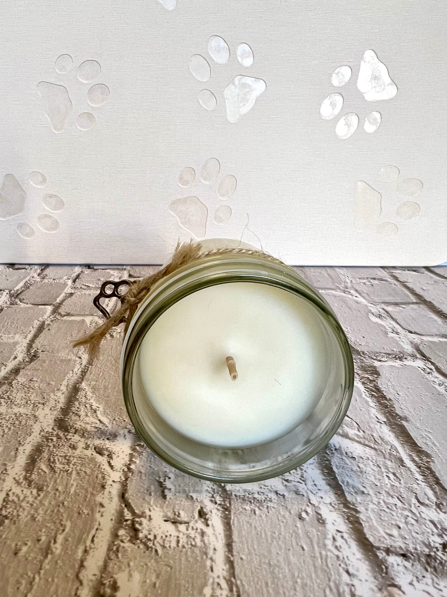 Pet Fundraiser 6oz Candle - Pet themed Coconut Soy Candle