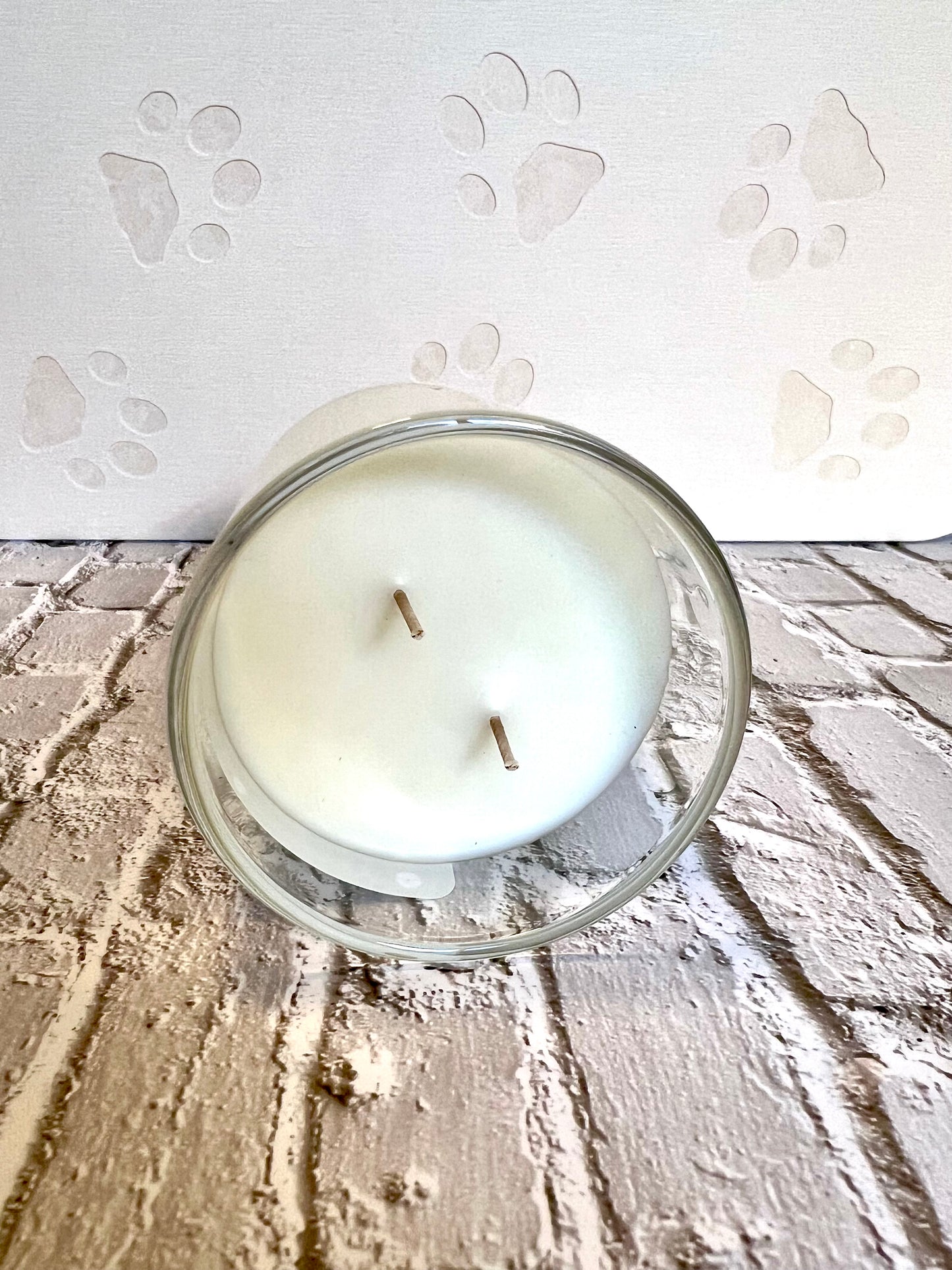 My Dog Thinks I’m Cool - Dog Themed Dog Candle