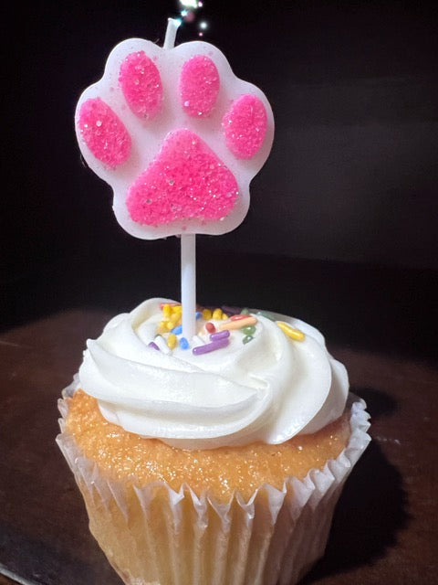 Pet Birthday Party Candle