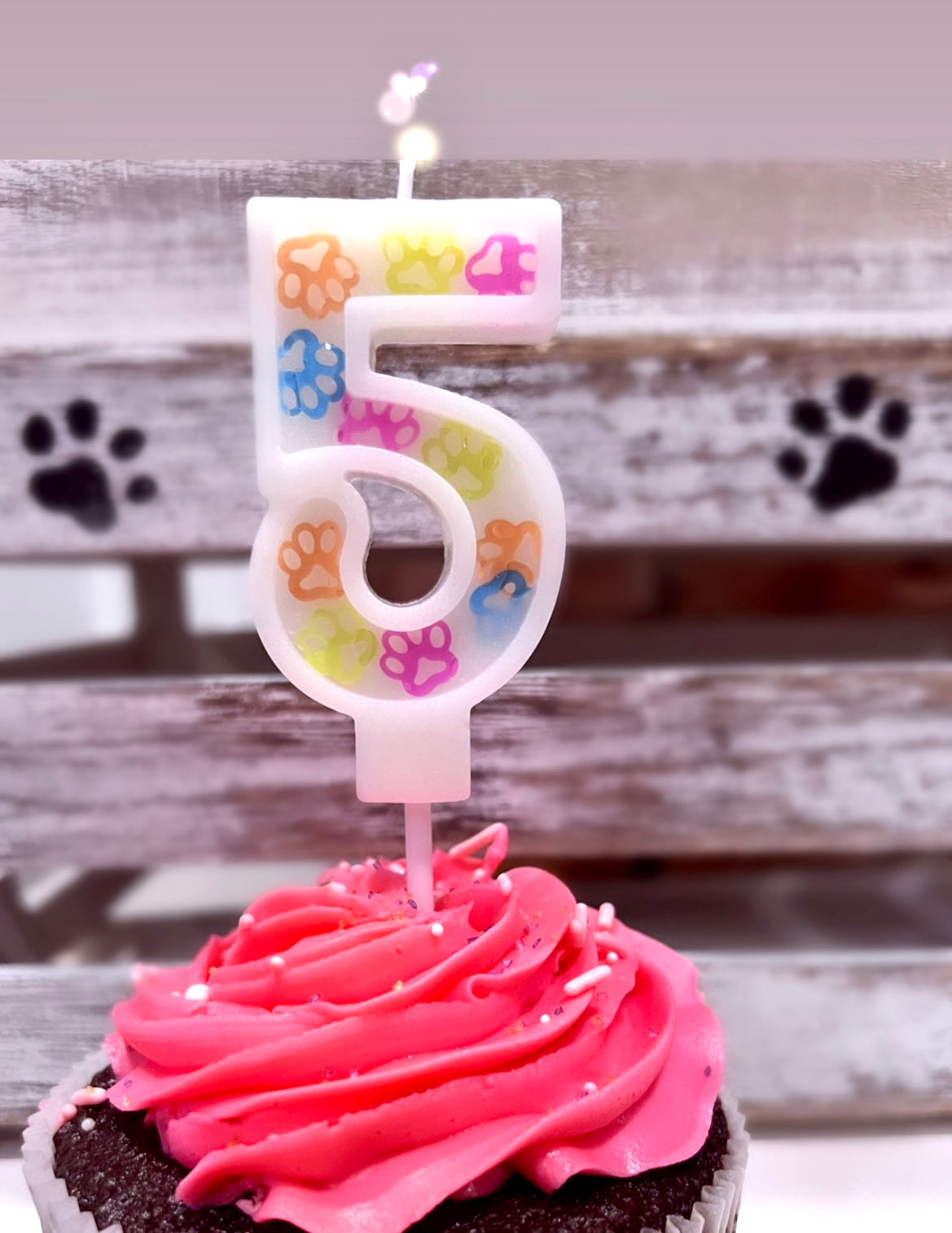 Pet birthday confetti candle number 5 - Pet Themed Candles