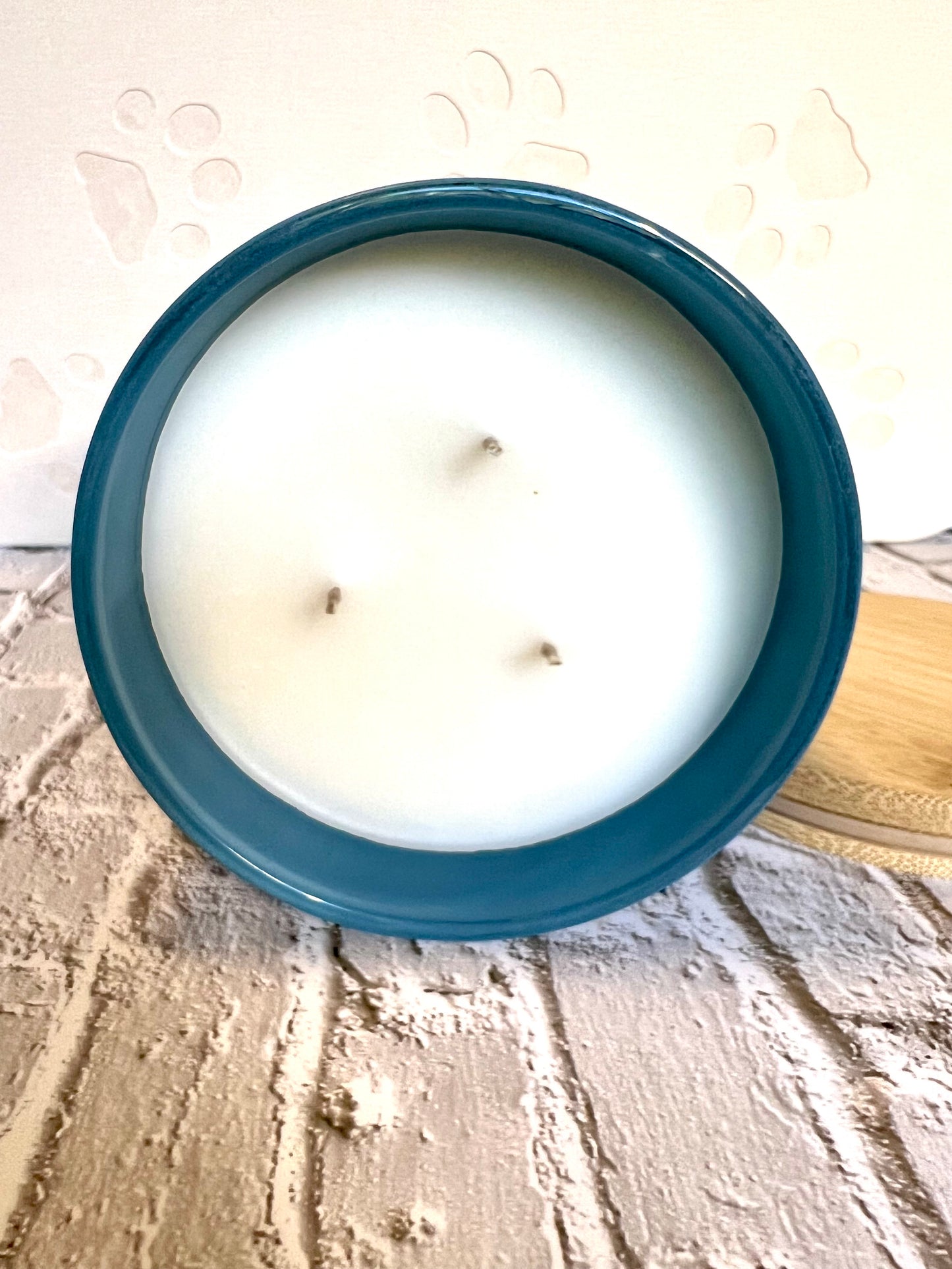 Because We Have Too Many Dogs - Dog Themed Soy Candle