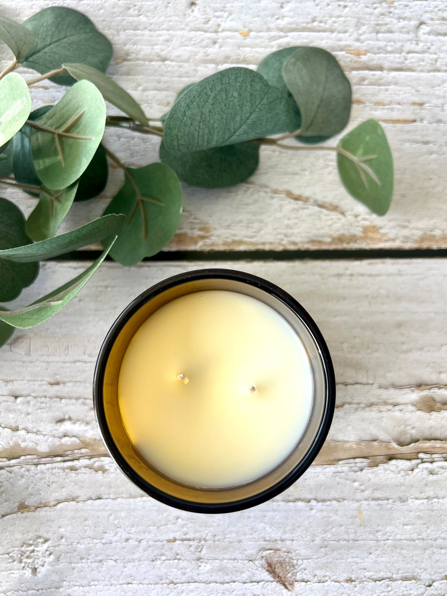 Smells Better Than The DOG | Coconut-Soy Candle