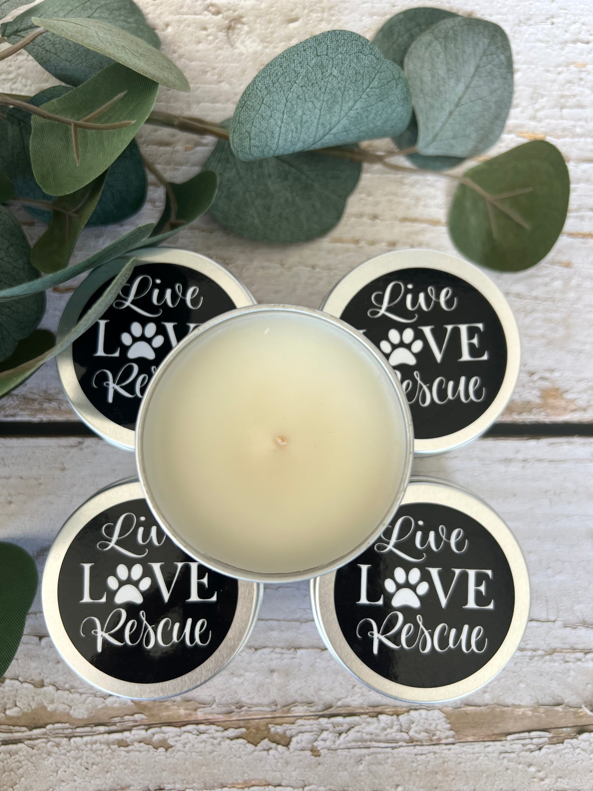 Pet themed coconut soy candle - hand poured