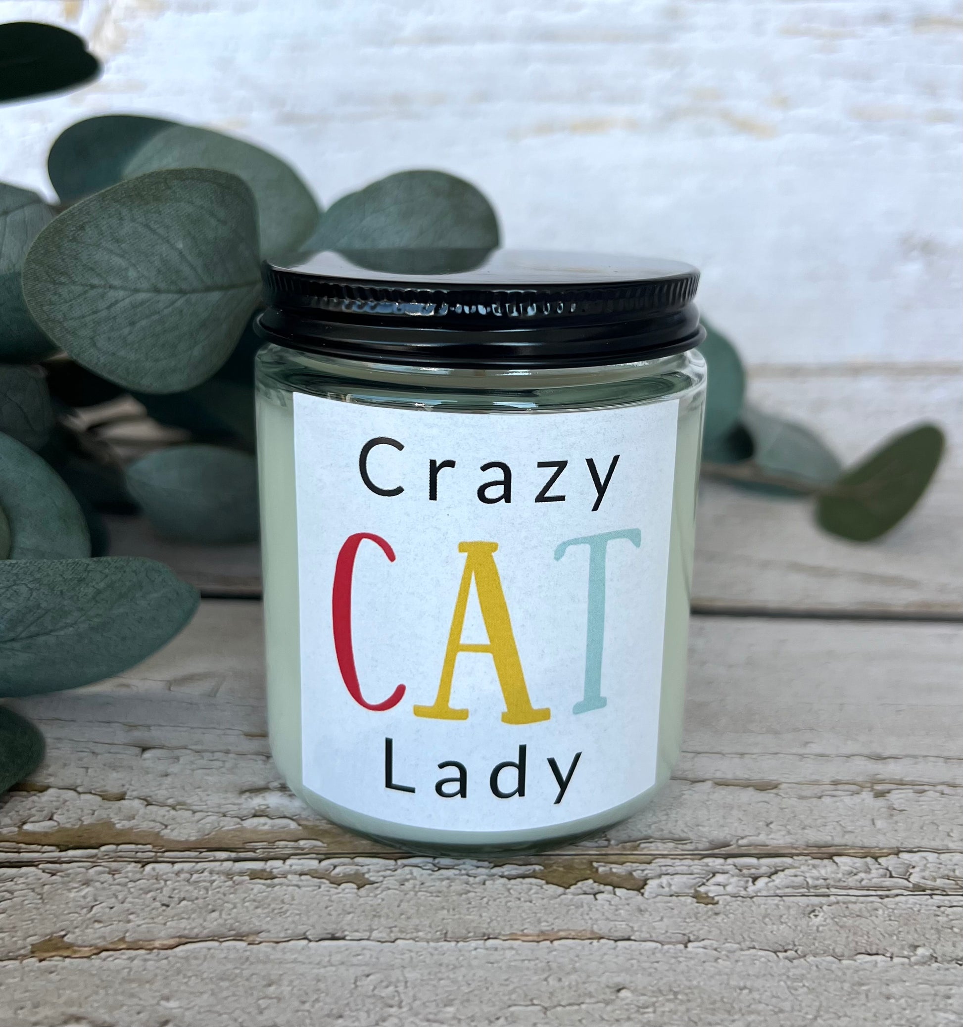 Cat themed coconut soy candle - hand poured