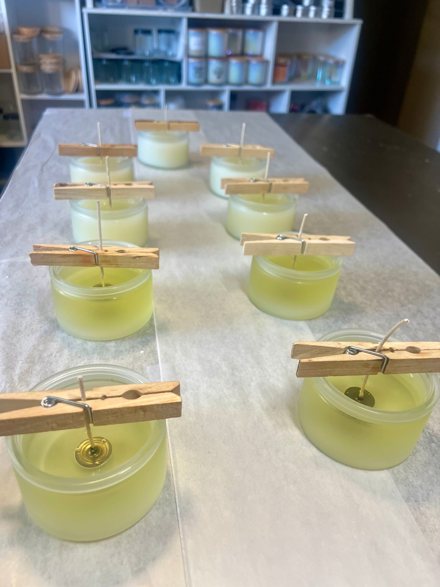 Fun, Festive and Colorful Dog & Cat Themed Candles - Hand Poured Coconut Soy